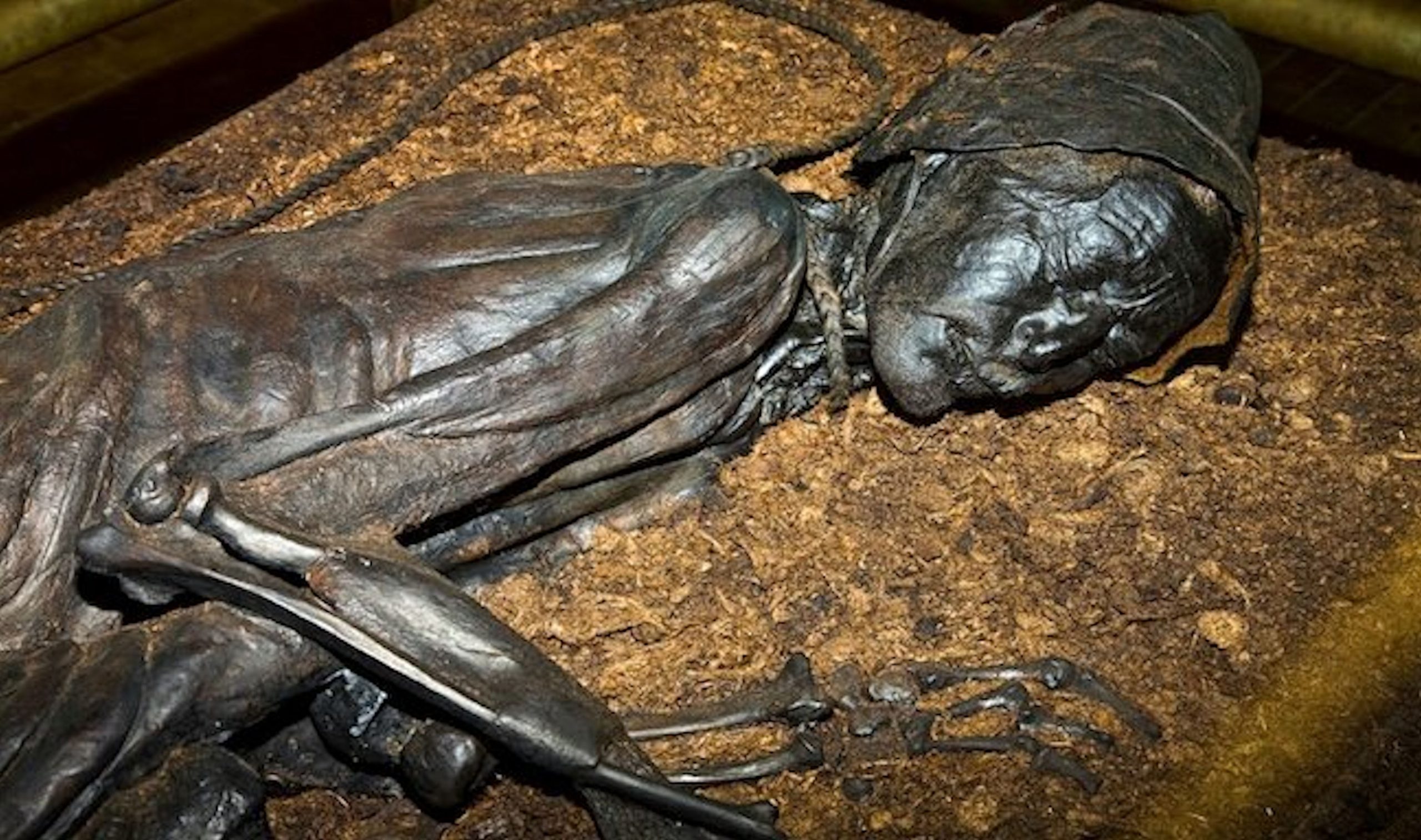 Lire la suite à propos de l’article Le noeud, un outil pour survivre